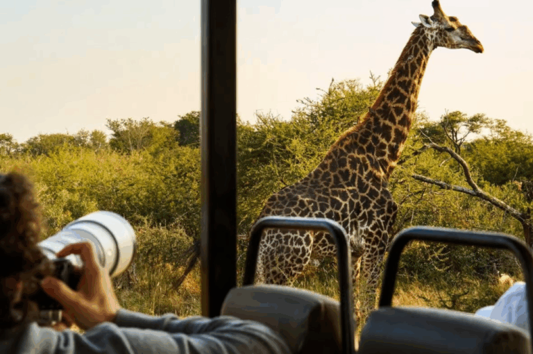 3-Day Sun City Hotel Pilanesberg Safari